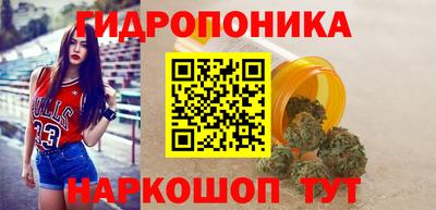 дмт Гусев
