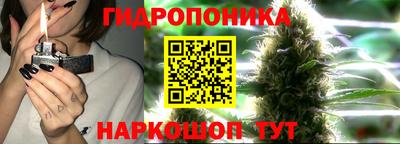 меф Гусь-Хрустальный