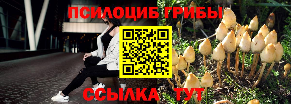 Псилоцибиновые грибы Cubensis  Вход с VPN  Псилоцибиновые грибы Magic Shrooms  Ирбит 
