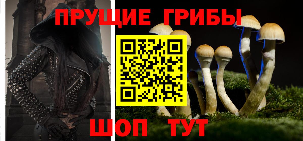 Галлюциногенные грибы Ирбит